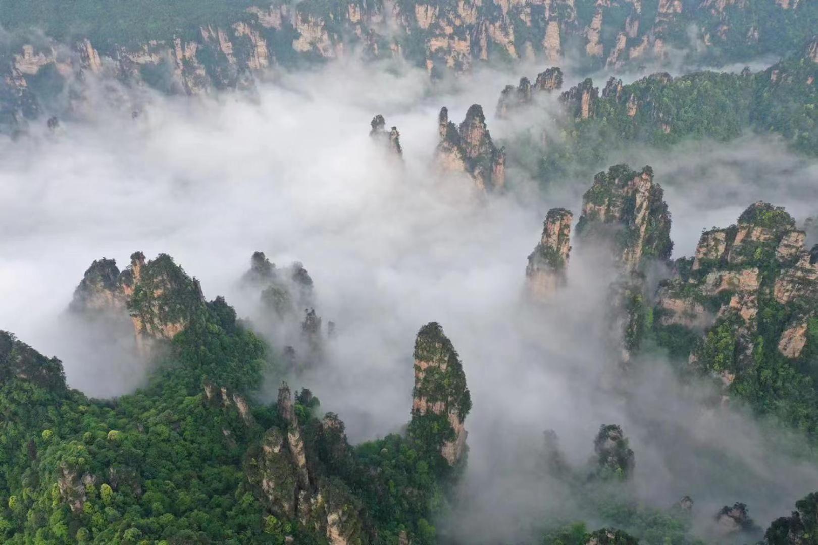 Zhangjiajie National Forest Park Camping Exterior foto