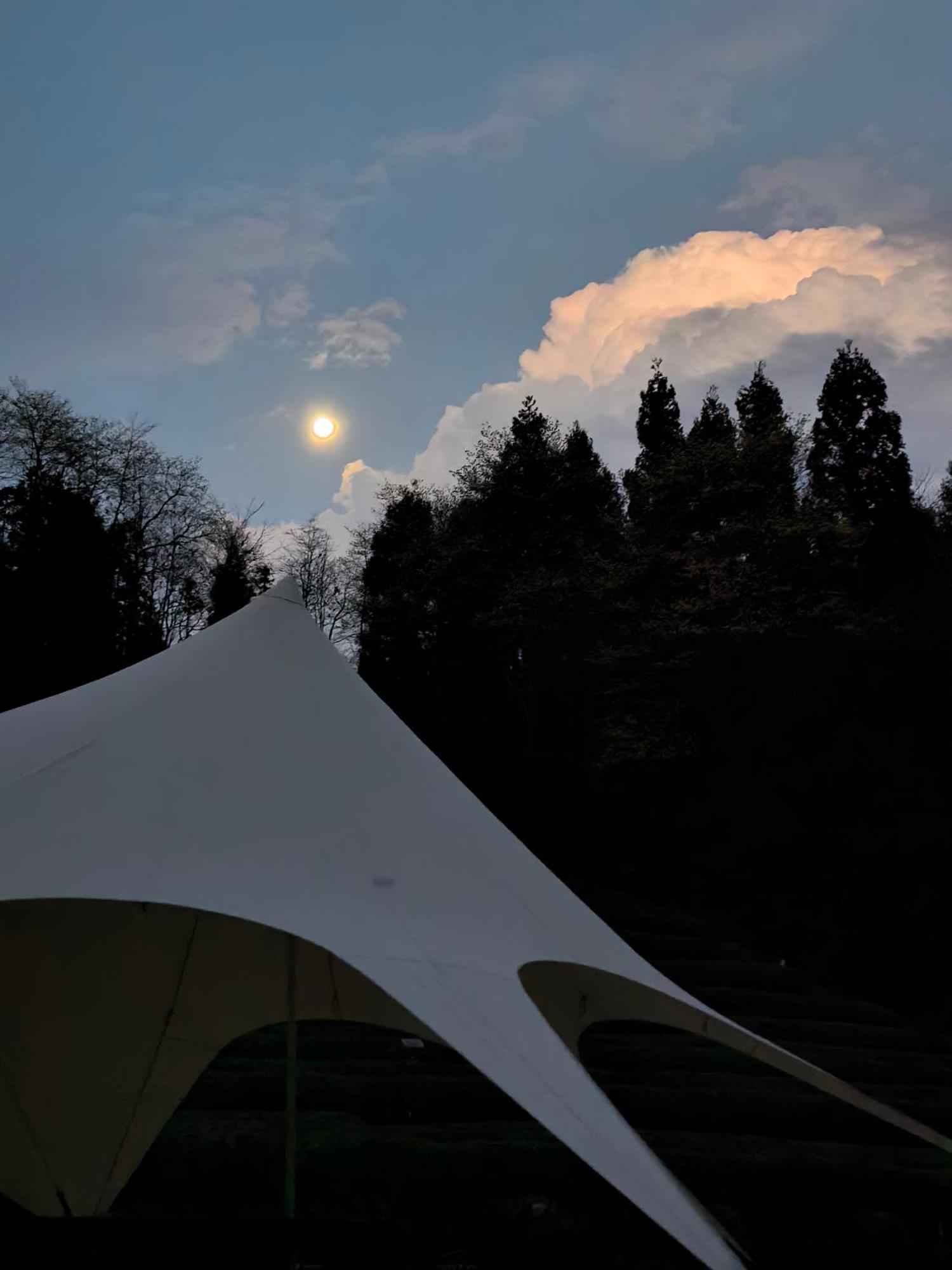 Zhangjiajie National Forest Park Camping Exterior foto